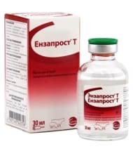 Энзапрост® Т