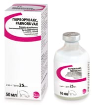 Парворувакс