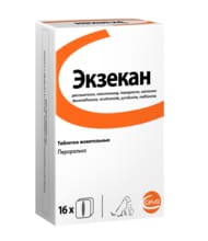 Экзекан