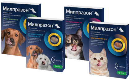 Милпразон® таблетки для собак