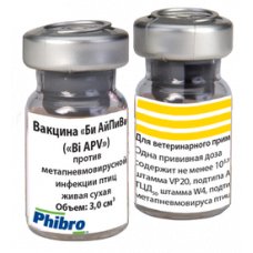 Би АйПиВи (Bi APV)