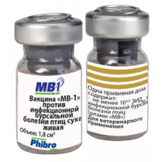 MB1