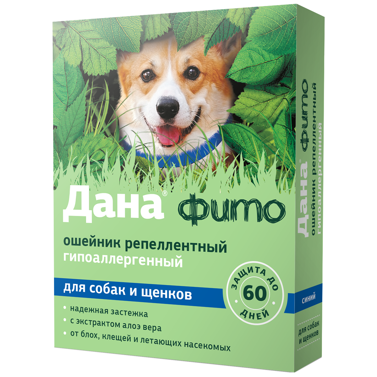 Дана фито