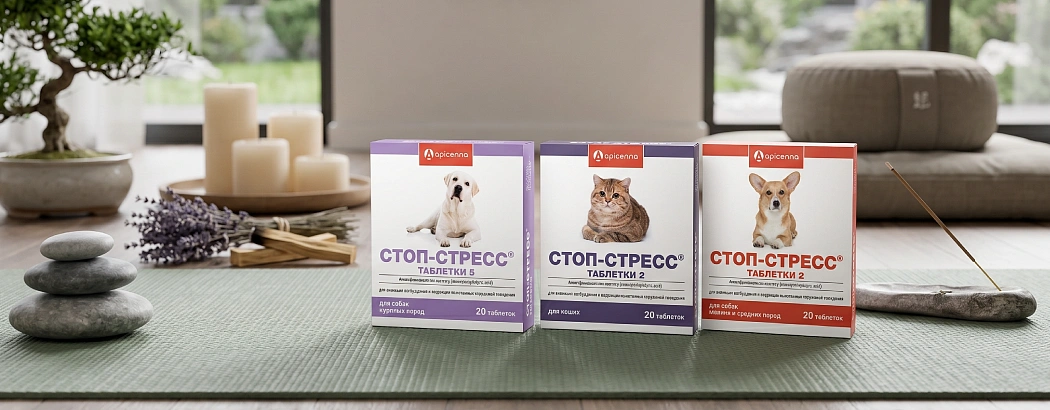 Стоп-стресс таблетки