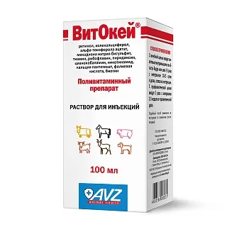 ВИТОКЕЙ®. РАСТВОР ДЛЯ ИНЪЕКЦИЙ 100 МЛ