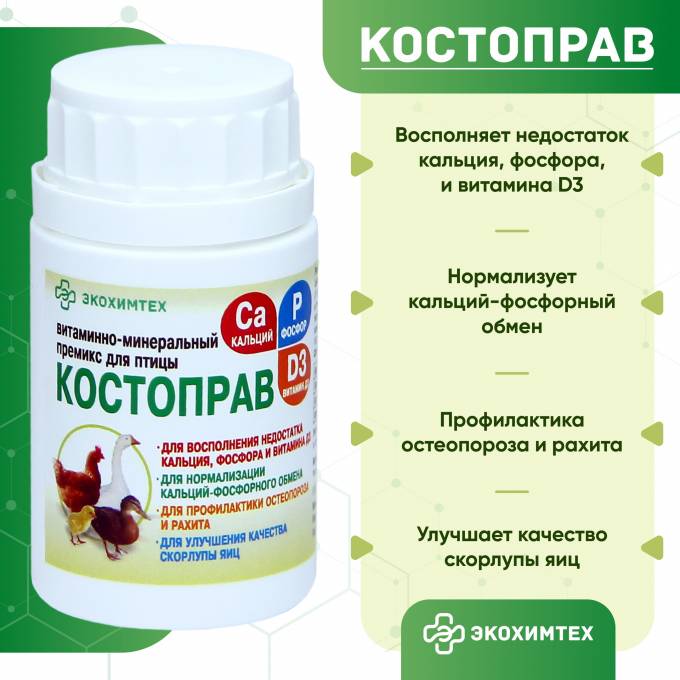 Костоправ