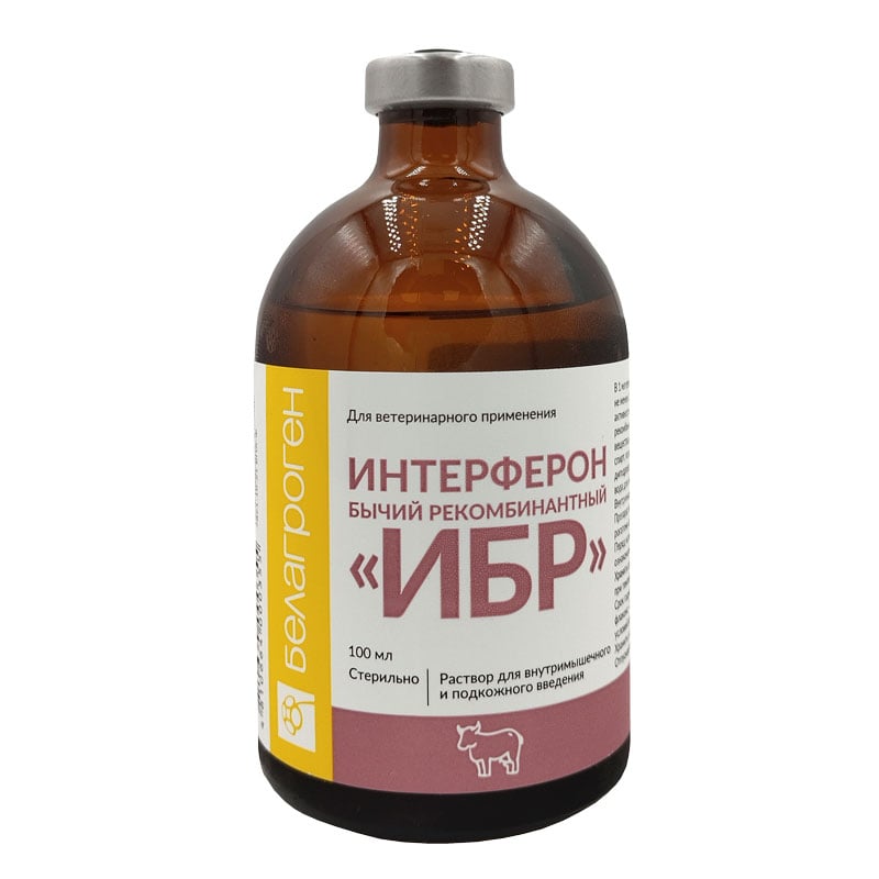 Интерферон бычий рекомбинантный (ИБР)
