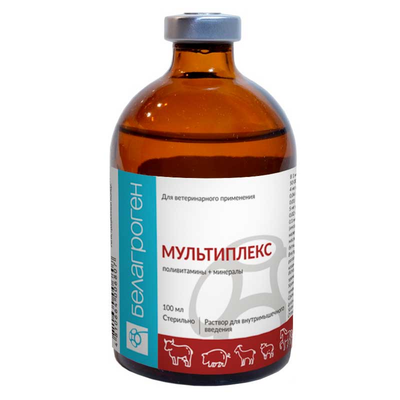 Мультиплекс