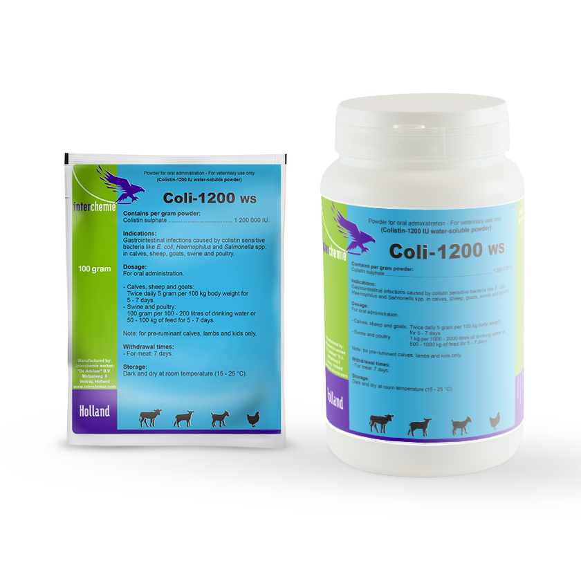 Coli-1200 WS