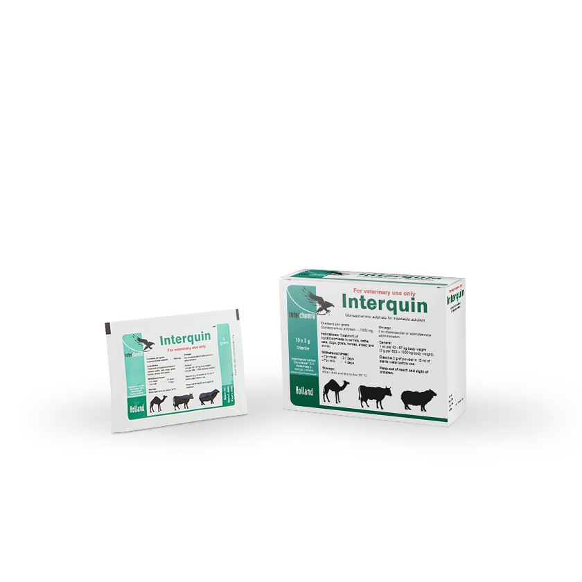 Interquin