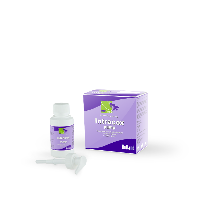 Intracox Pump