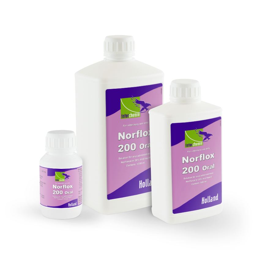 Norflox-200 Oral