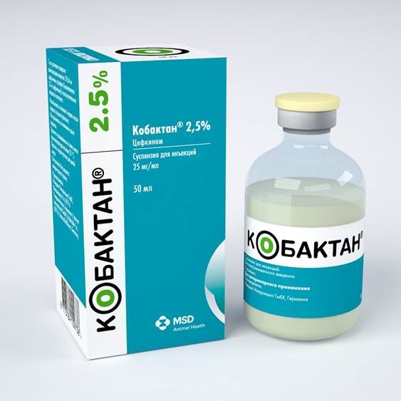 Кобактан® 2,5% (Cobactan® 2,5%)
