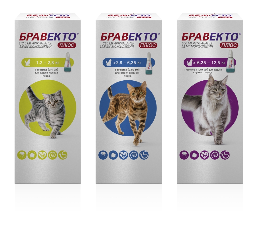 Бравекто® Плюс (Bravecto® Plus)