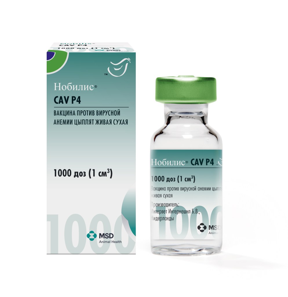 Нобилис® CAV P4 (Nobilis® CAV P4)