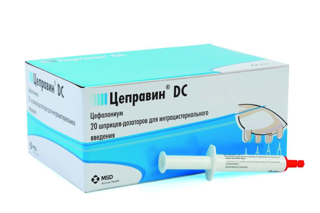 Цеправин® DC (Cepravin® DC)