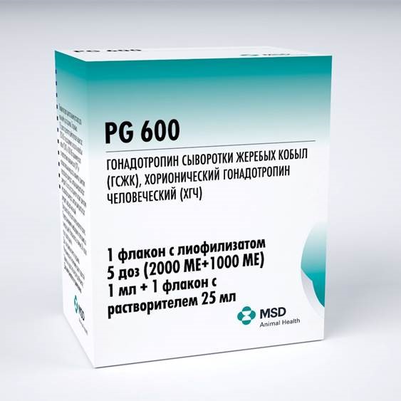 PG 600