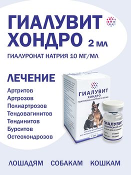 ГИАЛУВИТ ХОНДРО, 2 мл (аналог препаратов Бонхарен и Хионат)