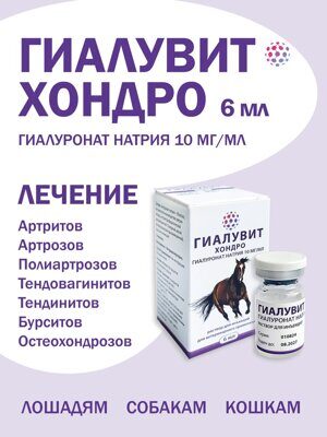 ГИАЛУВИТ ХОНДРО, 6 мл (аналог препаратов Бонхарен и Хионат)