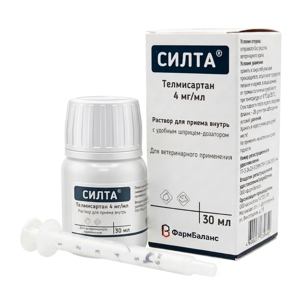 Силта
