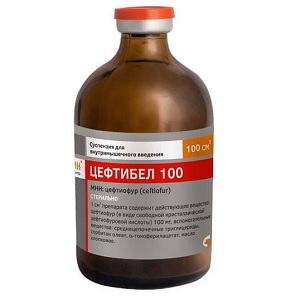 Цефтибел 10% 100 мл