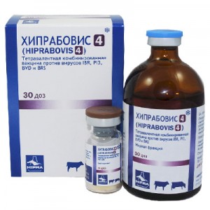 Хипрабовис — 4