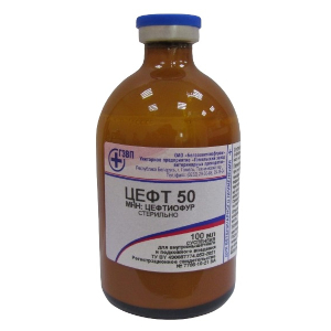 Цефт 50