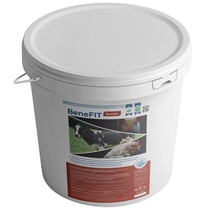 БенеФит Румен (BeneFIT Rumen)