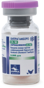 Хипрагамборо-CH/80