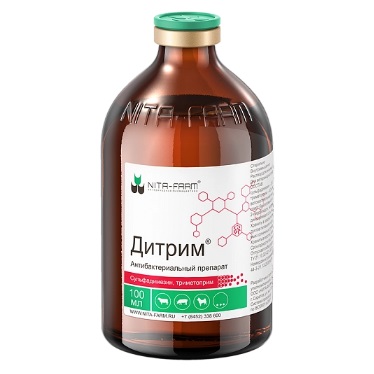 Дитрим