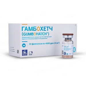 Гамбохетч