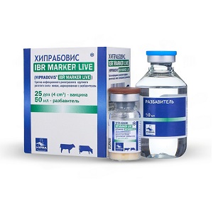 Хипрабовис-IBR Marker Live