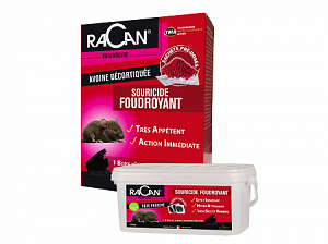 Ракан Флеш (Racan Flash)