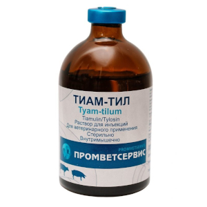 Тиам-Тил