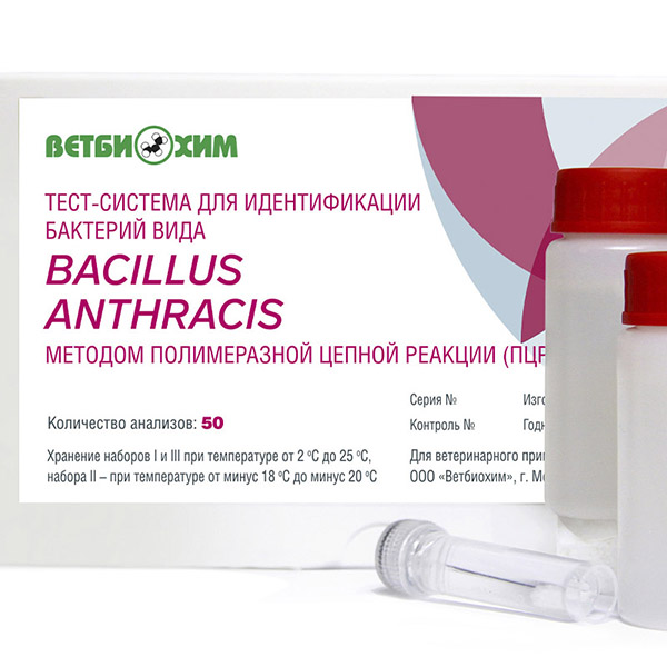 ТЕСТ-СИСТЕМА ДЛЯ ИДЕНТИФИКАЦИИ БАКТЕРИЙ ВИДА BACILLUS ANTHRACIS МЕТОДОМ ПОЛИМЕРАЗНОЙ ЦЕПНОЙ РЕАКЦИИ (ПЦР)