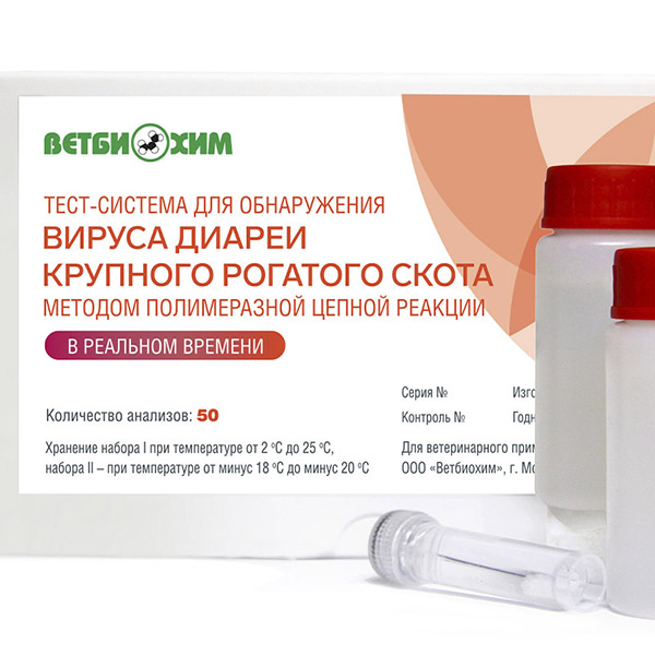 ТЕСТ-СИСТЕМА ДЛЯ ОБНАРУЖЕНИЯ ВИРУСА ДИАРЕИ КРУПНОГО РОГАТОГО СКОТА МЕТОДОМ ПЦР В РЕАЛЬНОМ ВРЕМЕНИ