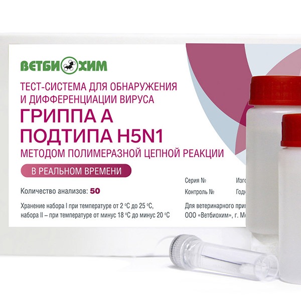 ТЕСТ-СИСТЕМА ДЛЯ ОБНАРУЖЕНИЯ И ДИФФЕРЕНЦИАЦИИ ВИРУСА ГРИППА А ПОДТИПА H5N1 МЕТОДОМ ПОЛИМЕРАЗНОЙ ЦЕПНОЙ РЕАКЦИИ В РЕАЛЬНОМ ВРЕМЕНИ