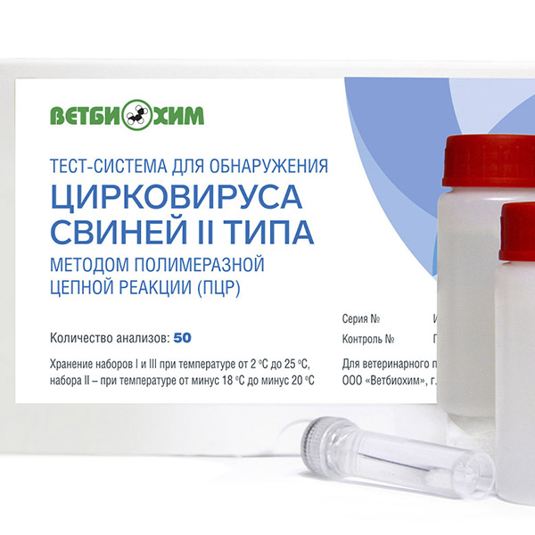 ТЕСТ-СИСТЕМА ДЛЯ ОБНАРУЖЕНИЯ ЦИРКОВИРУСА СВИНЕЙ II ТИПА МЕТОДОМ ПОЛИМЕРАЗНОЙ ЦЕПНОЙ РЕАКЦИИ