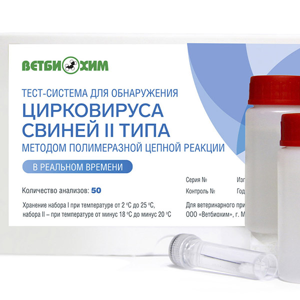 ТЕСТ-СИСТЕМА ДЛЯ ОБНАРУЖЕНИЯ ЦИРКОВИРУСА СВИНЕЙ II ТИПА МЕТОДОМ ПЦР В РЕАЛЬНОМ ВРЕМЕНИ