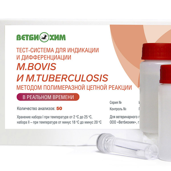ТЕСТ-СИСТЕМА ДЛЯ ИНДИКАЦИИ И ДИФФЕРЕНЦИАЦИИ M.BOVIS И M.TUBERCULOSIS МЕТОДОМ ПЦР В РЕАЛЬНОМ ВРЕМЕНИ
